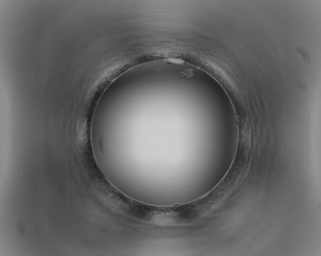 X0000113290403200909141209