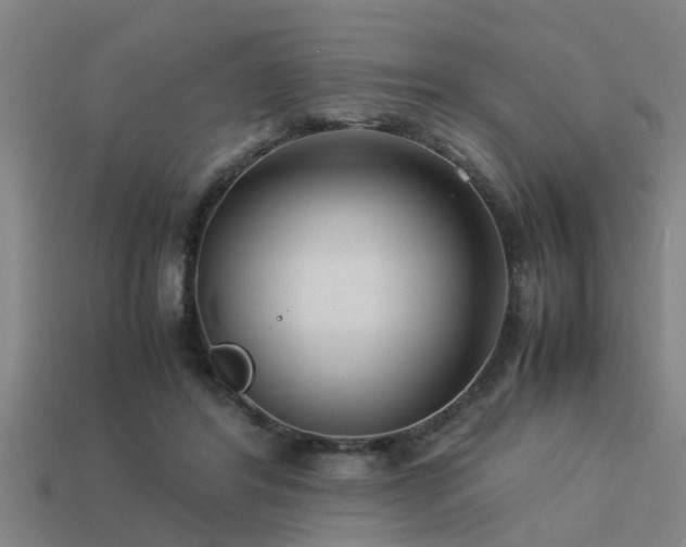 X0000113290404200909141209