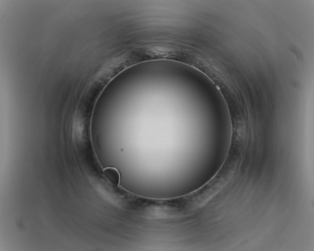 X0000113290408200909141209