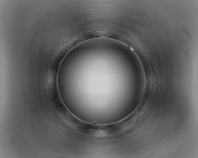 X0000113290412200909141208