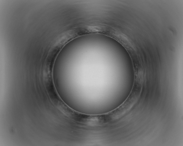 X0000113290418200909141208