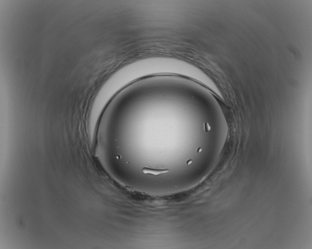 X0000113290419200909141208