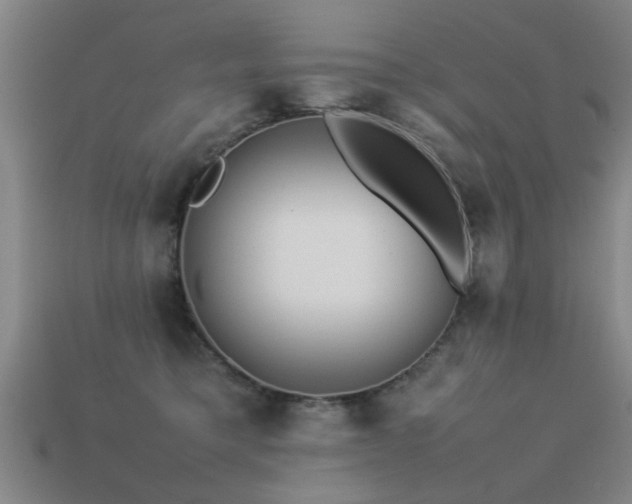 X0000113290421200909141208