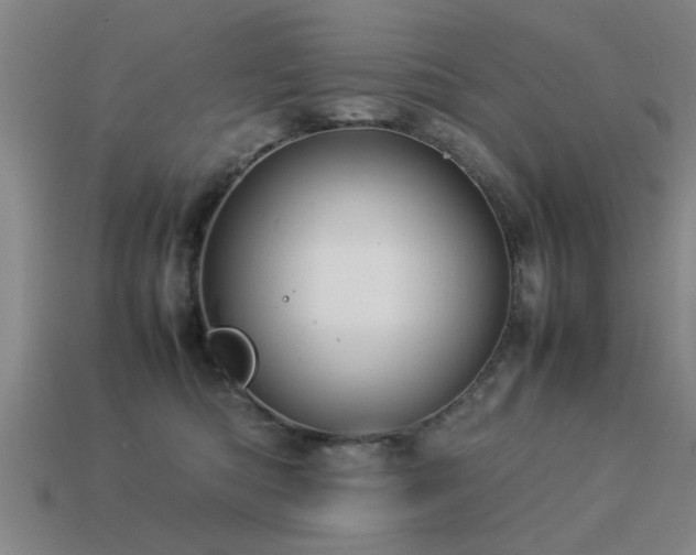 X0000113290422200909141208