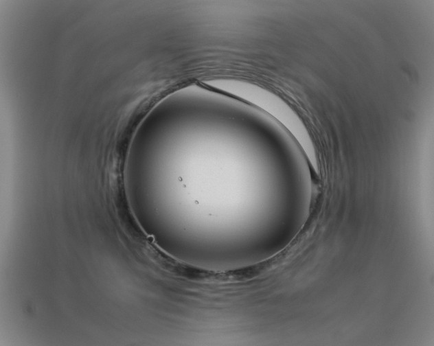 X0000113290423200909141208