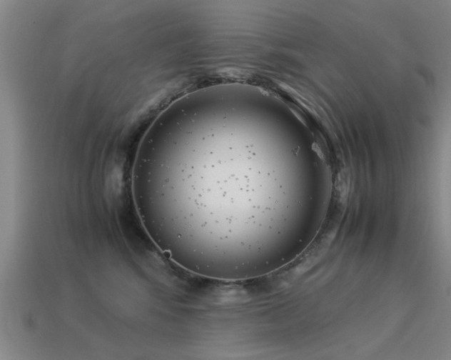 X0000113290424200909141208