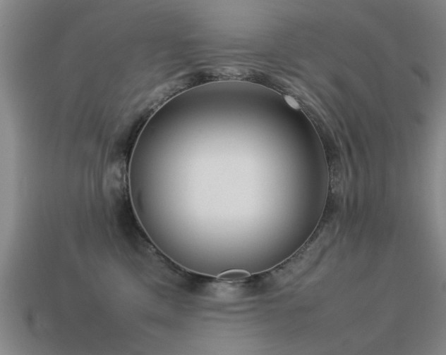 X0000113290425200909141208