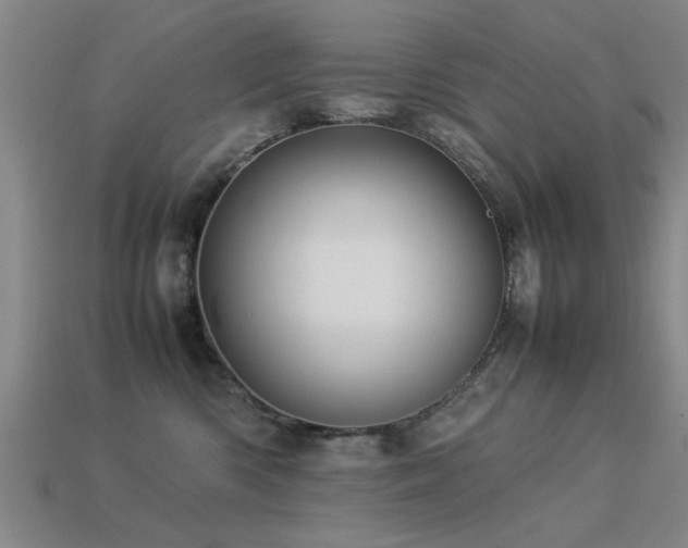 X0000113290426200909141208