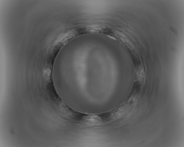 X0000113290427200909141208