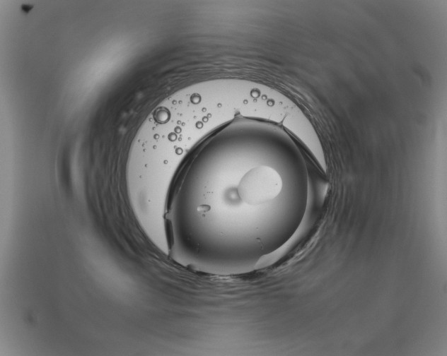 X0000113290429200909141208