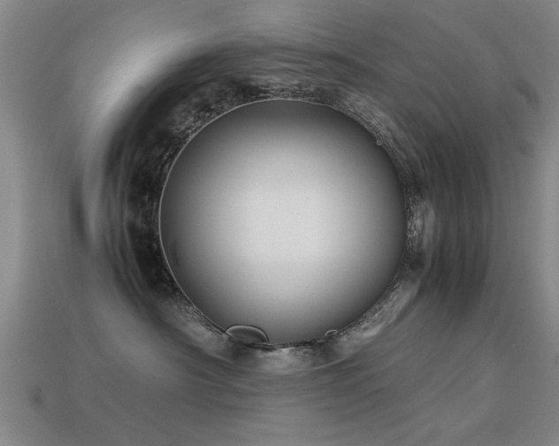 X0000113290430200909141208