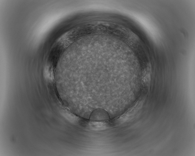 X0000113290431200909141208