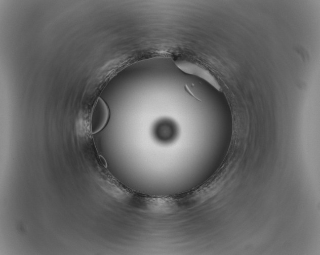 X0000113290432200909141208