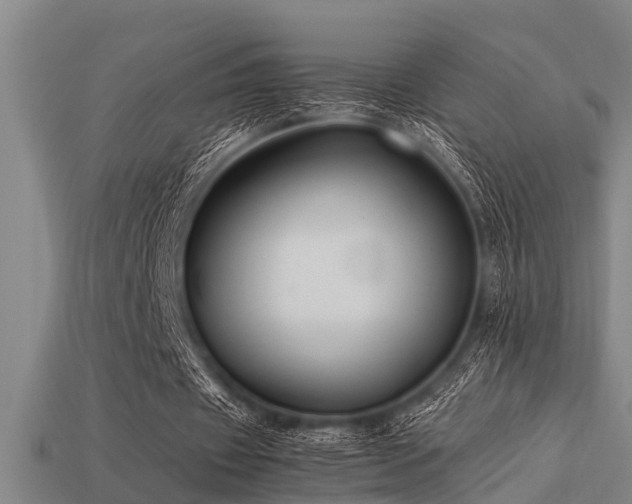 X0000113290433200909141208