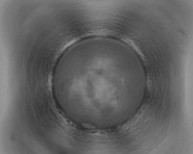 X0000113290434200909141208