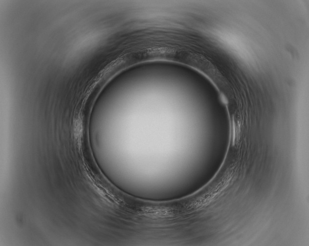 X0000113290435200909141208