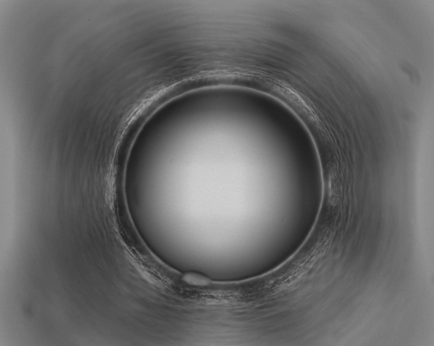 X0000113290436200909141208