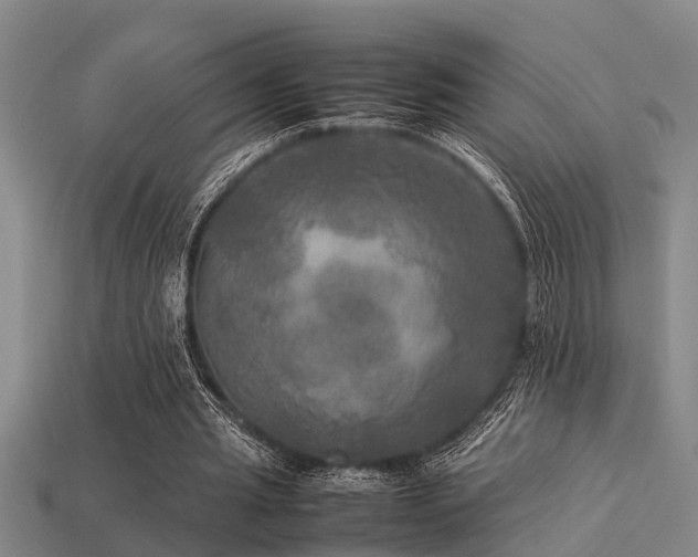 X0000113290437200909141208