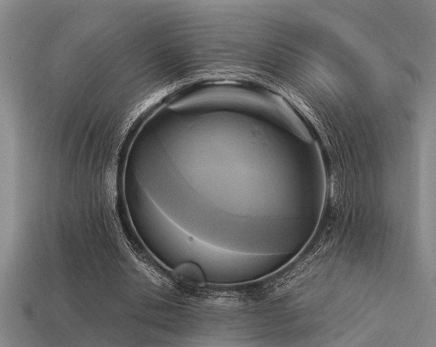 X0000113290438200909141208