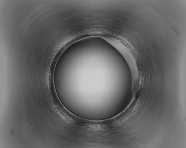 X0000113290439200909141208