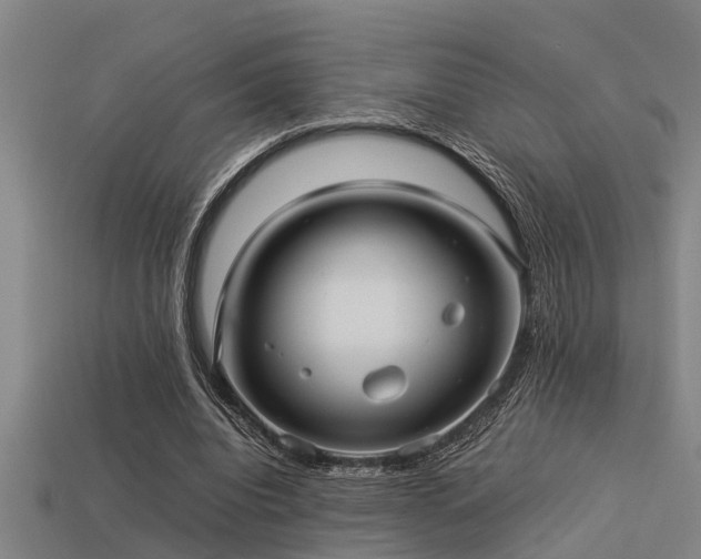 X0000113290440200909141208