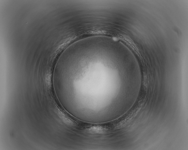 X0000113290441200909141208