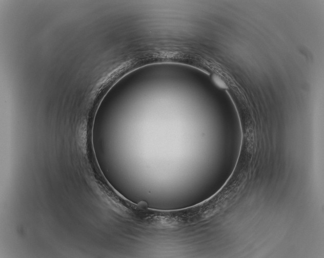 X0000113290442200909141208