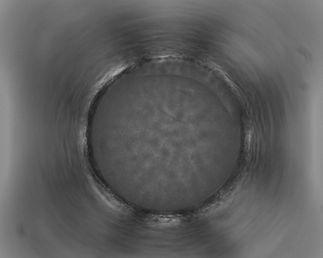 X0000113290443200909141208