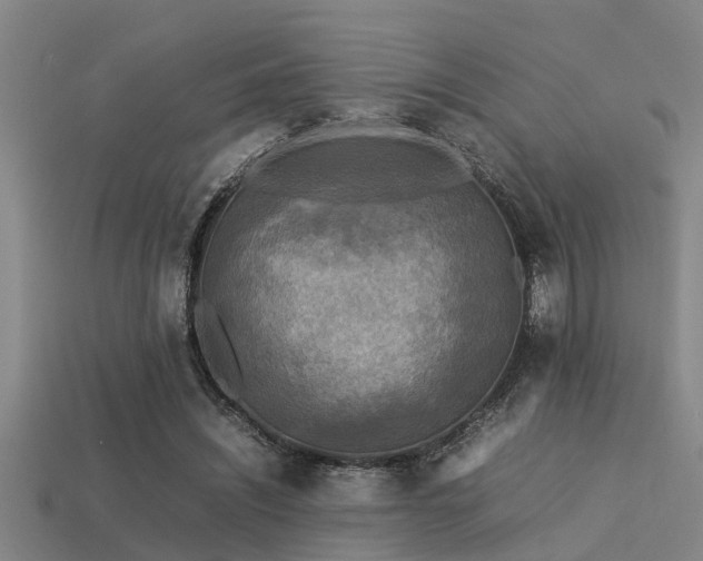 X0000113290444200909141208