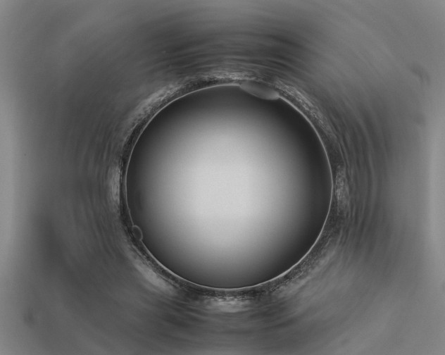 X0000113290445200909141208