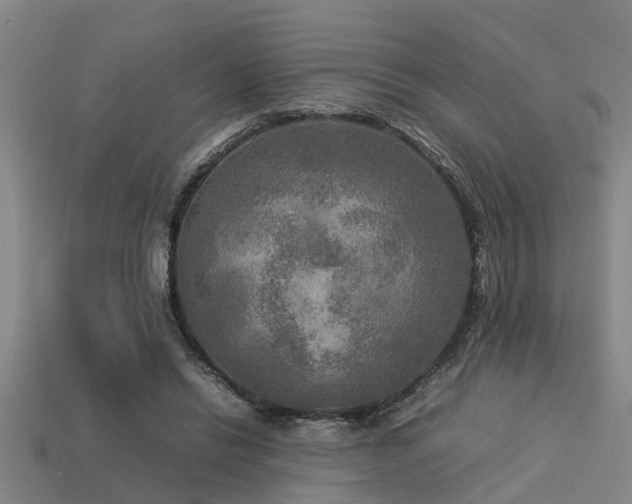 X0000113290446200909141208