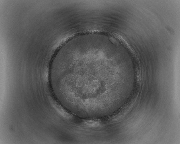 X0000113290447200909141208