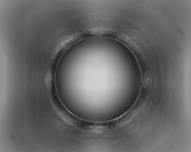 X0000113290448200909141208