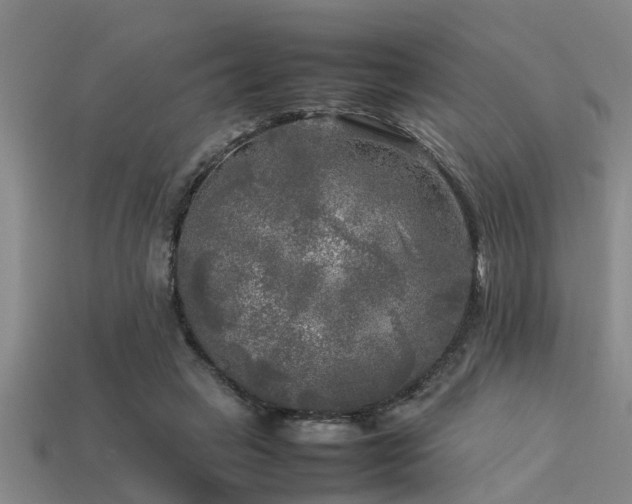 X0000113290449200909141208