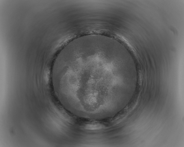 X0000113290451200909141208