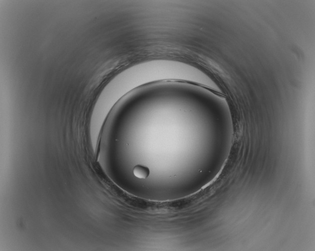 X0000113290452200909141208