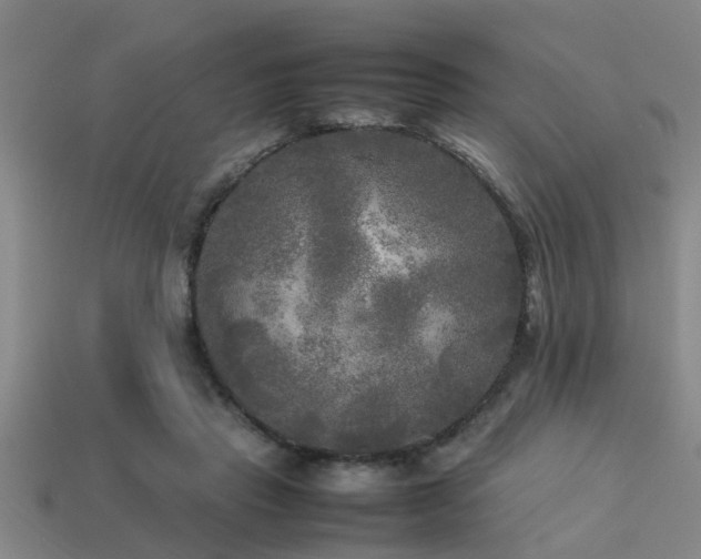 X0000113290453200909141208