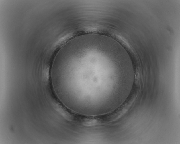 X0000113290454200909141208