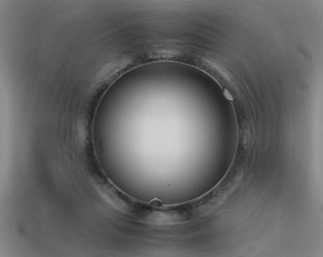 X0000113290455200909141208