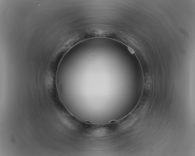 X0000113290456200909141208