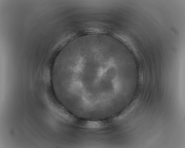 X0000113290457200909141208