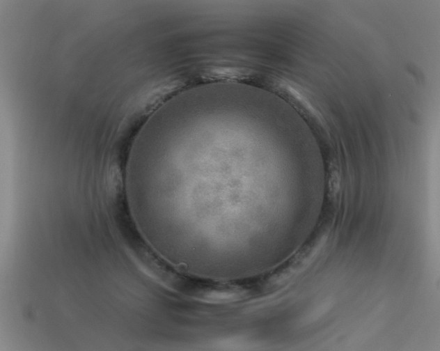 X0000113290459200909141208