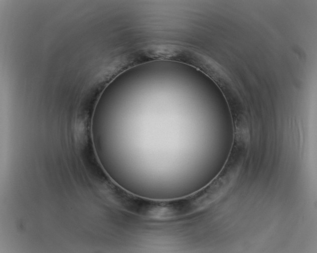 X0000113290460200909141208