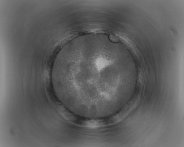 X0000113290461200909141208