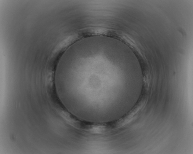 X0000113290462200909141208