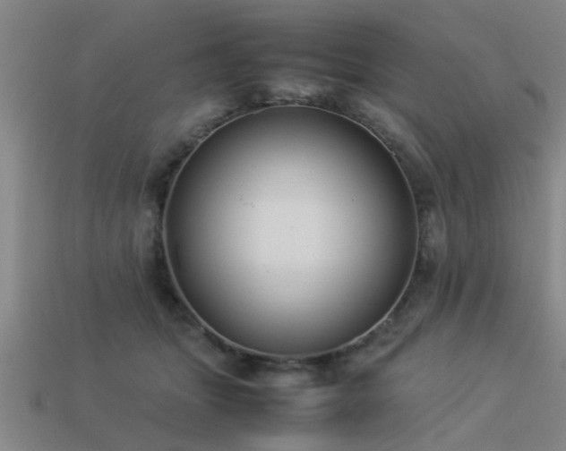 X0000113290463200909141208