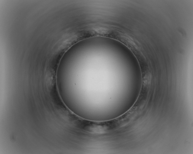 X0000113290464200909141208