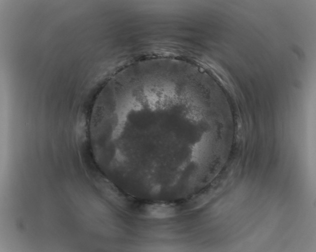 X0000113290465200909141208