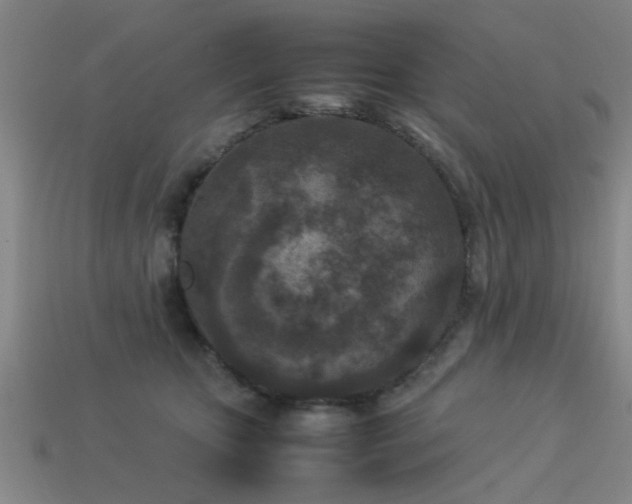 X0000113290467200909141208