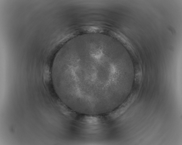 X0000113290469200909141208